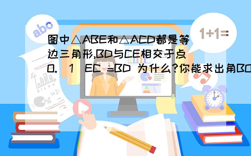 图中△ABE和△ACD都是等边三角形,BD与CE相交于点O.(1)EC =BD 为什么?你能求出角BOC的度数是多少吗?