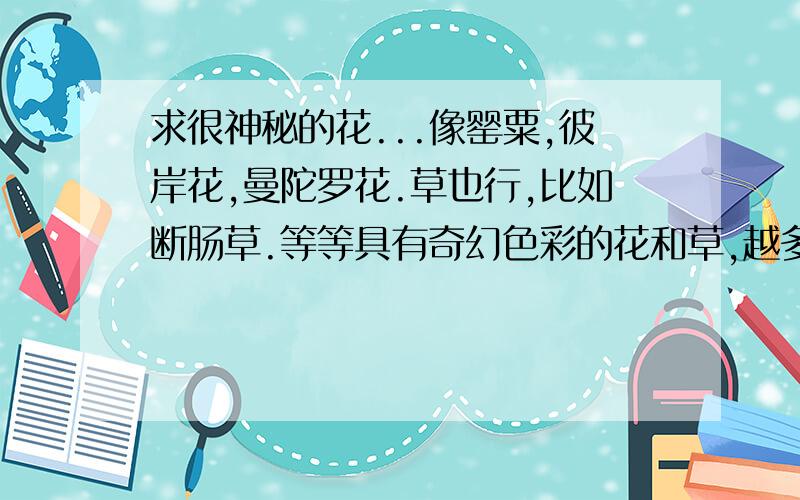 求很神秘的花...像罂粟,彼岸花,曼陀罗花.草也行,比如断肠草.等等具有奇幻色彩的花和草,越多越好= ...罂粟花和虞美人差不多.