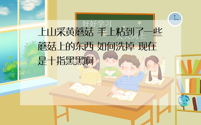 上山采黄蘑菇 手上粘到了一些蘑菇上的东西 如何洗掉 现在是十指黑黑啊