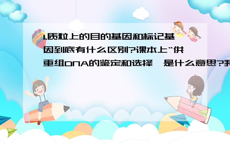 1.质粒上的目的基因和标记基因到底有什么区别?课本上“供重组DNA的鉴定和选择