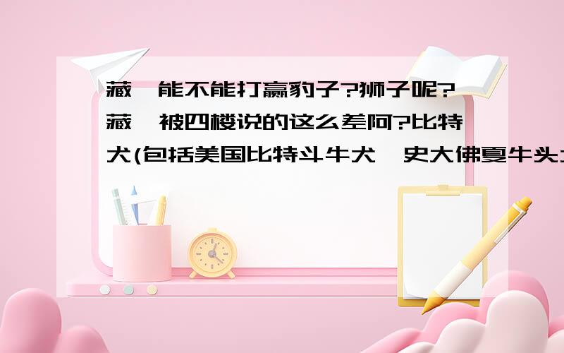 藏獒能不能打赢豹子?狮子呢?藏獒被四楼说的这么差阿?比特犬(包括美国比特斗牛犬、史大佛夏牛头犬及美国史大佛夏斗牛犬)、日本土佐、纽波利顿三个犬种。是世界三大斗犬。比特犬见狗