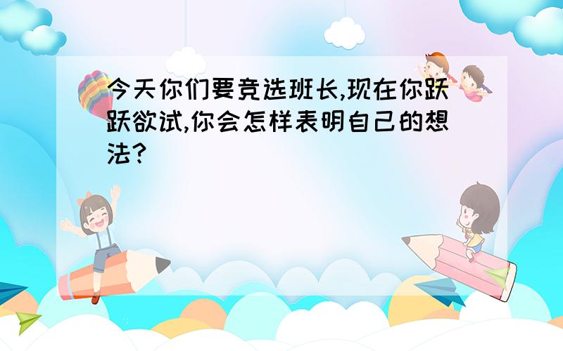 今天你们要竞选班长,现在你跃跃欲试,你会怎样表明自己的想法?