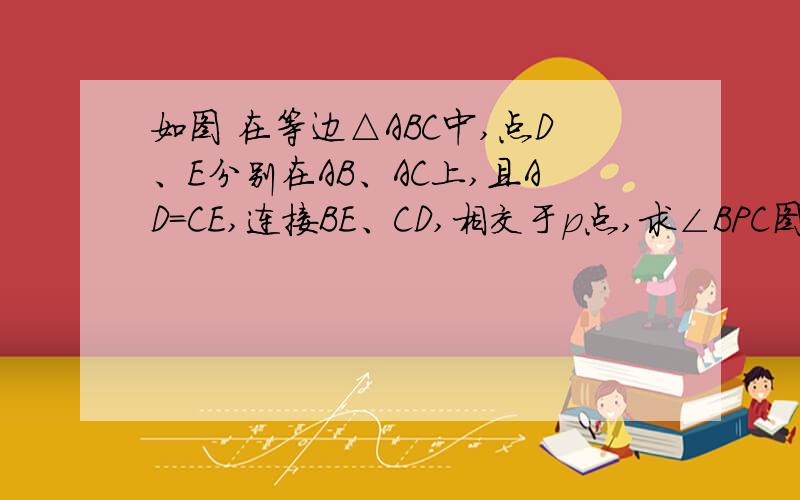 如图 在等边△ABC中,点D、E分别在AB、AC上,且AD=CE,连接BE、CD,相交于p点,求∠BPC图在初二上册的74页24题