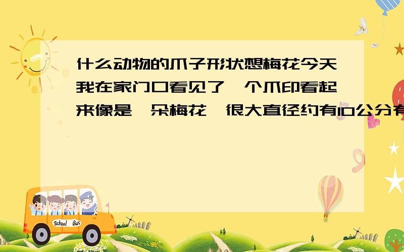 什么动物的爪子形状想梅花今天我在家门口看见了一个爪印看起来像是一朵梅花`很大直径约有10公分有知道的帮忙告诉一下是什么动物!有没有危险!