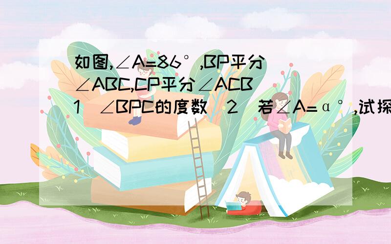 如图,∠A=86°,BP平分∠ABC,CP平分∠ACB(1)∠BPC的度数(2)若∠A=α°,试探究∠BPC的度数与∠A的度数的关系