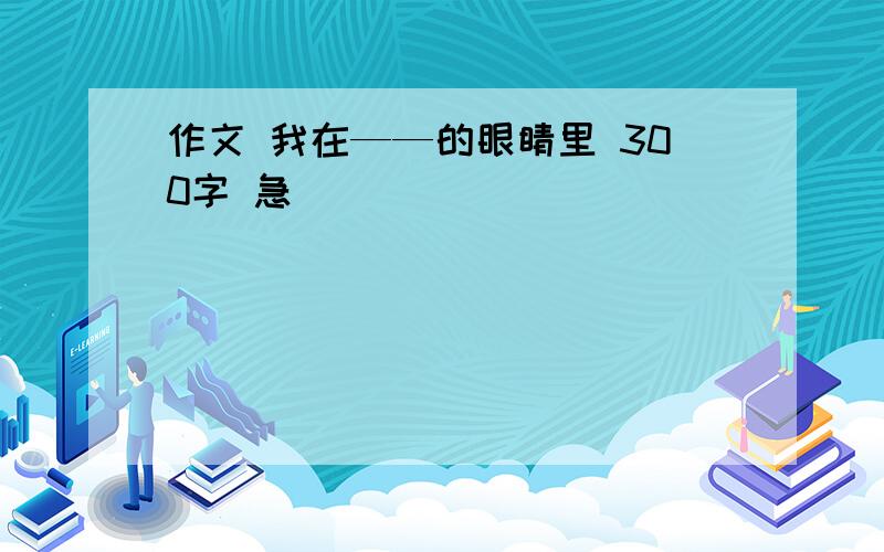 作文 我在——的眼睛里 300字 急