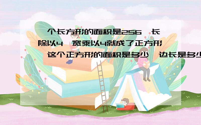 一个长方形的面积是256,长除以4,宽乘以4就成了正方形,这个正方形的面积是多少,边长是多少