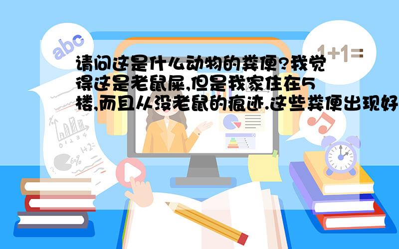 请问这是什么动物的粪便?我觉得这是老鼠屎,但是我家住在5楼,而且从没老鼠的痕迹.这些粪便出现好长时间了,还有就在窗户上面好像有蝙蝠做窝,昨天晚上还跑出来一直蝙蝠.这是老鼠还是蝙