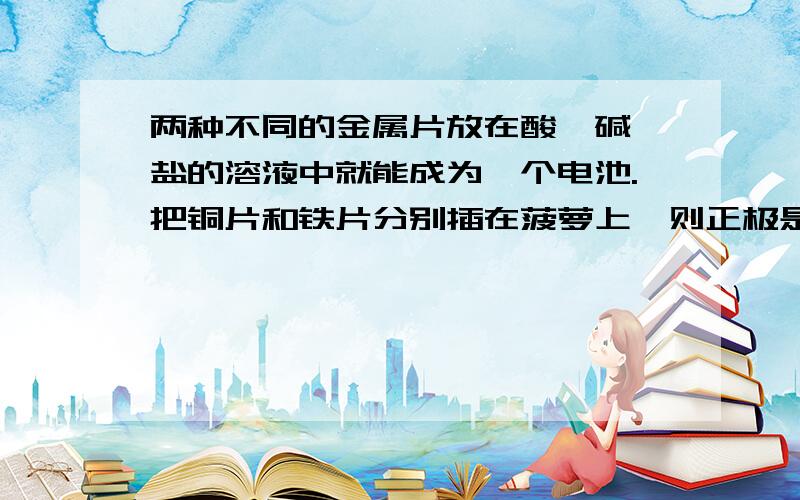 两种不同的金属片放在酸、碱、盐的溶液中就能成为一个电池.把铜片和铁片分别插在菠萝上,则正极是（）片