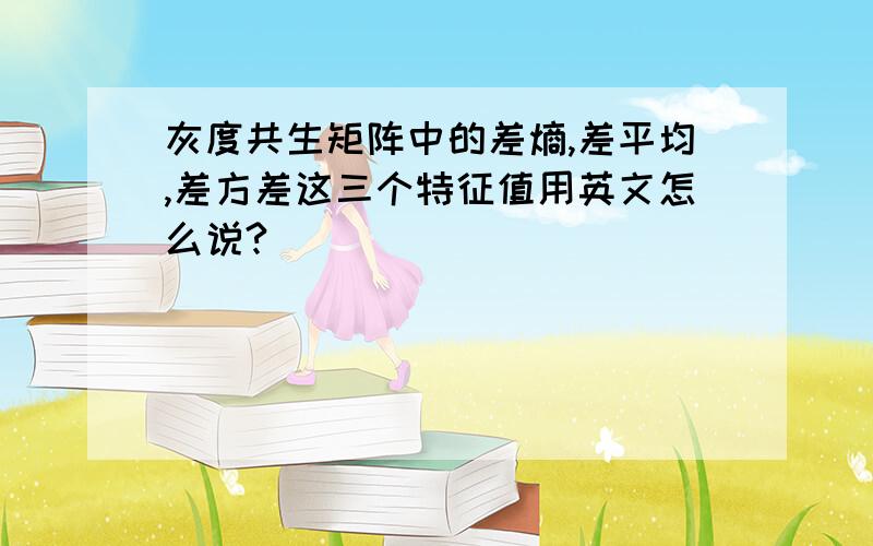 灰度共生矩阵中的差熵,差平均,差方差这三个特征值用英文怎么说?