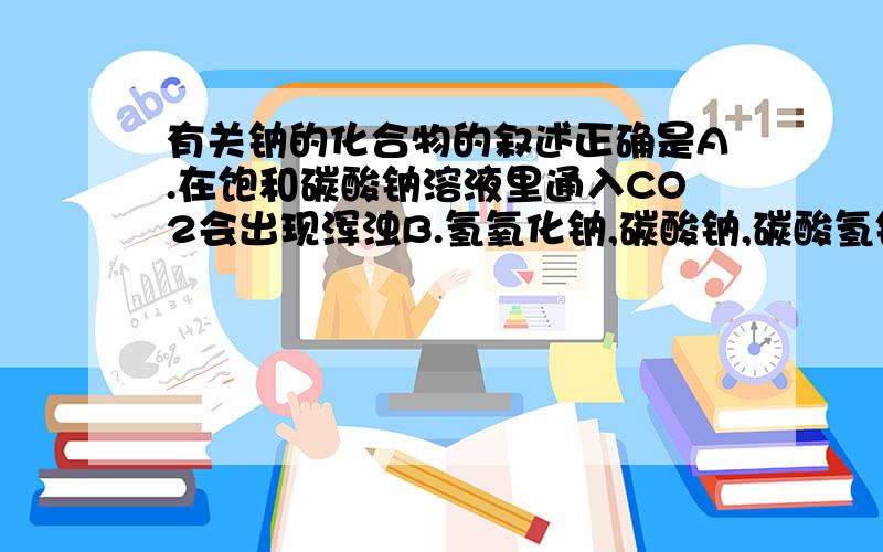 有关钠的化合物的叙述正确是A.在饱和碳酸钠溶液里通入CO2会出现浑浊B.氢氧化钠,碳酸钠,碳酸氢钠均呈碱性,所以可以共存C.在里滑盖溶液中滴入少量碳酸氢钠溶液无沉淀,在地少量氢氧化钠溶