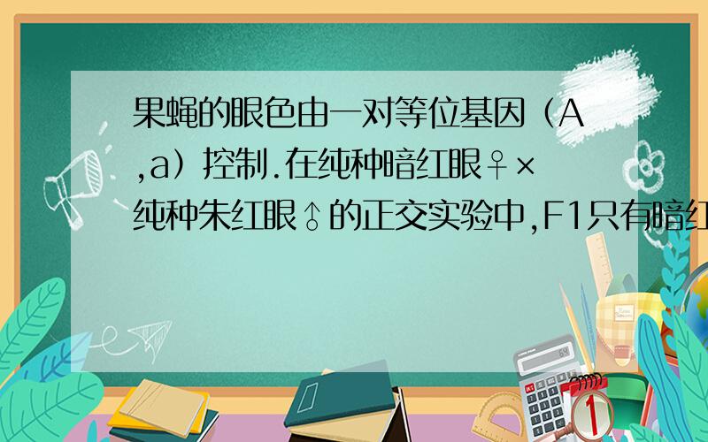 果蝇的眼色由一对等位基因（A,a）控制.在纯种暗红眼♀×纯种朱红眼♂的正交实验中,F1只有暗红眼；在纯种朱红眼♀×纯种暗红眼♂的反交实验中,F1雌性为暗红眼,雄性为朱红眼则下列不正确