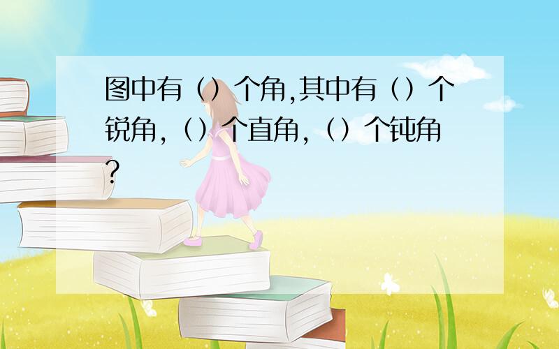 图中有（）个角,其中有（）个锐角,（）个直角,（）个钝角?