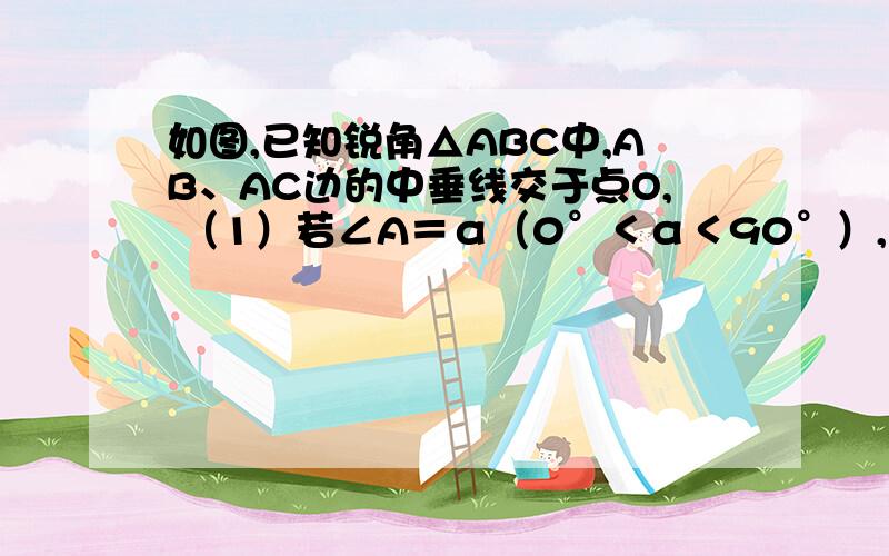 如图,已知锐角△ABC中,AB、AC边的中垂线交于点O, （1）若∠A＝α（0°＜α＜90°）,求∠BOC；（2）试判断∠ABO＋∠ACB是否为定值；若是,求出定值,若不是,请说明理由.