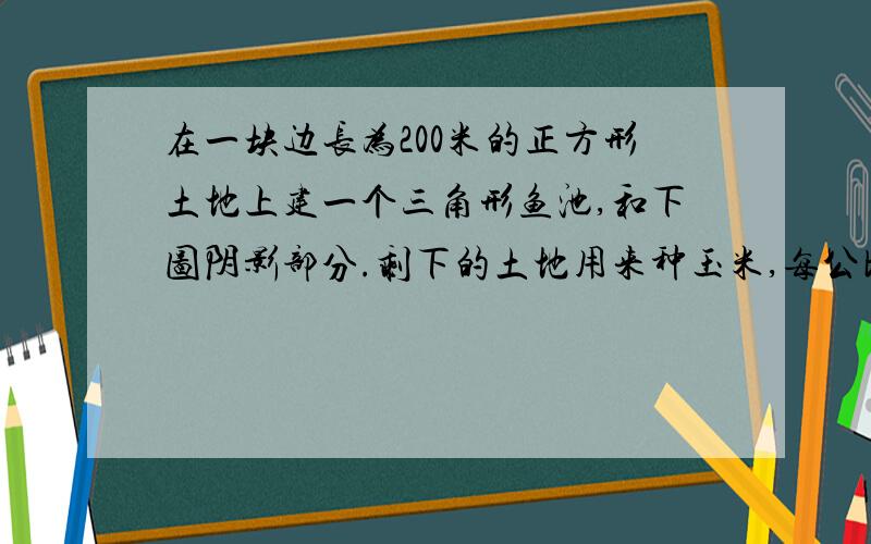 在一块边长为200米的正方形土地上建一个三角形鱼池,和下图阴影部分.剩下的土地用来种玉米,每公顷可收玉米五吨,这块地可收玉米多少吨?做到就采纳.请大师指教我这题.