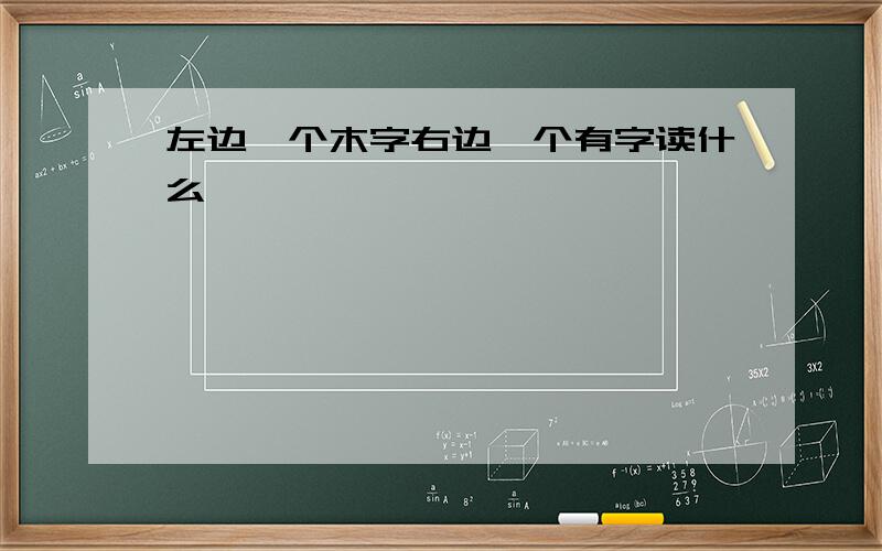 左边一个木字右边一个有字读什么