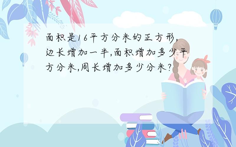 面积是16平方分米的正方形,边长增加一半,面积增加多少平方分米,周长增加多少分米?