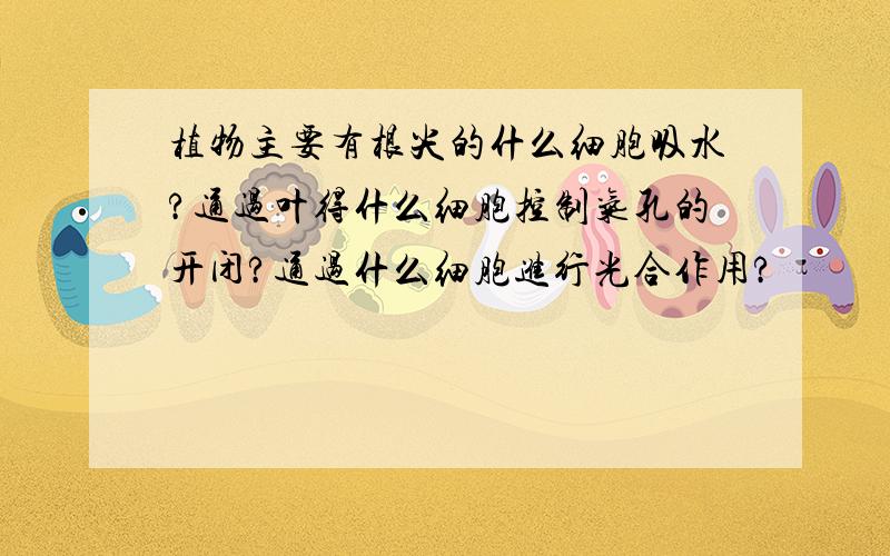 植物主要有根尖的什么细胞吸水?通过叶得什么细胞控制气孔的开闭?通过什么细胞进行光合作用?