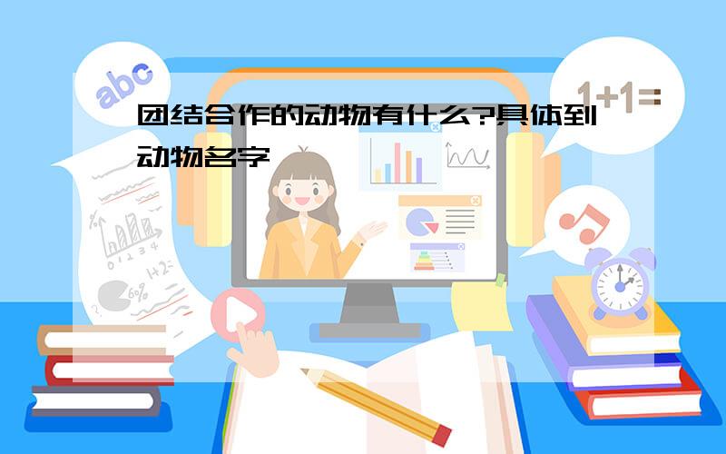 团结合作的动物有什么?具体到动物名字