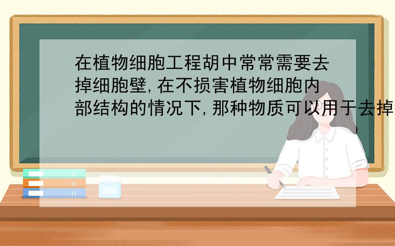 在植物细胞工程胡中常常需要去掉细胞壁,在不损害植物细胞内部结构的情况下,那种物质可以用于去掉细胞壁