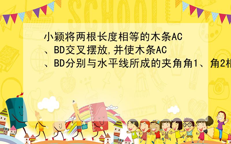 小颖将两根长度相等的木条AC、BD交叉摆放,并使木条AC、BD分别与水平线所成的夹角角1、角2相等，然后再交点O处钉一个钉子固定，再用一根彩带沿AD、DC、CB、BA围起来，小颖能得到一个等腰