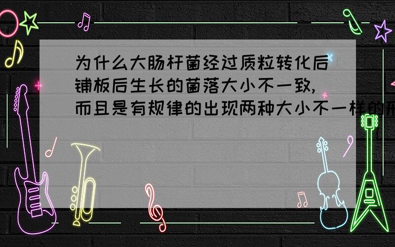 为什么大肠杆菌经过质粒转化后铺板后生长的菌落大小不一致,而且是有规律的出现两种大小不一样的形态.