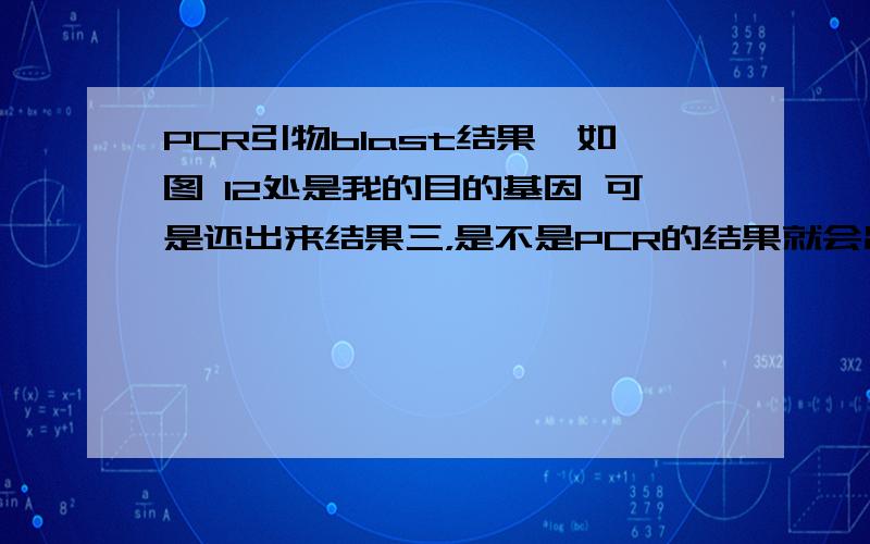 PCR引物blast结果,如图 12处是我的目的基因 可是还出来结果三，是不是PCR的结果就会出现非特异条带？我是不是应该考虑换引物啊？