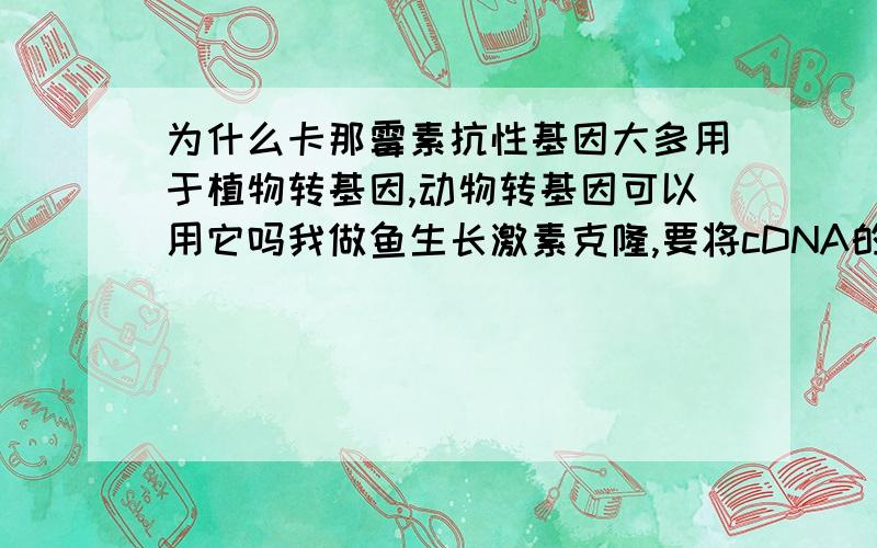 为什么卡那霉素抗性基因大多用于植物转基因,动物转基因可以用它吗我做鱼生长激素克隆,要将cDNA的PCR产物转到大肠杆菌中保存,用卡那霉素筛选好还是利用Amp / IPTG/X2Gal平板上进行蓝白斑筛