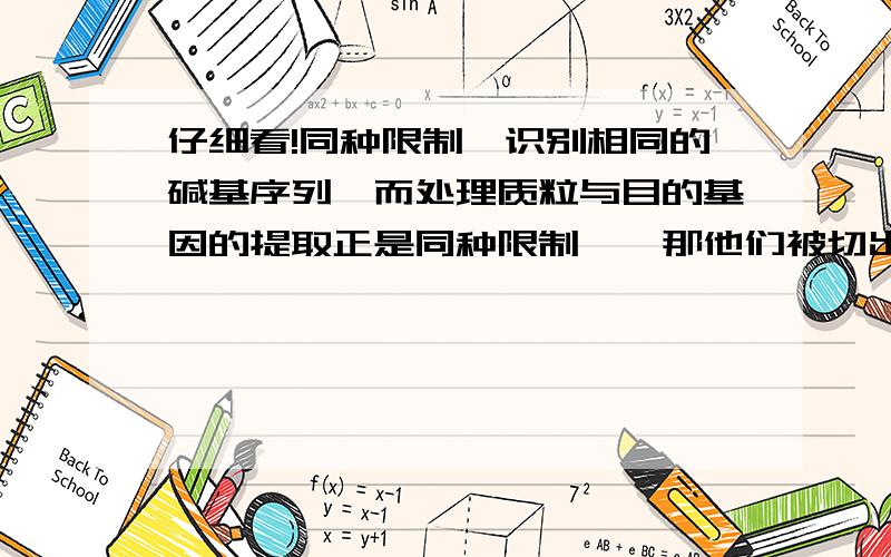 仔细看!同种限制酶识别相同的碱基序列,而处理质粒与目的基因的提取正是同种限制酶,那他们被切出的...仔细看!同种限制酶识别相同的碱基序列,而处理质粒与目的基因的提取正是同种限制