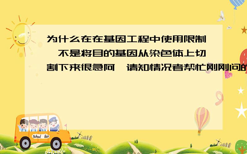 为什么在在基因工程中使用限制酶不是将目的基因从染色体上切割下来很急阿,请知情况者帮忙刚刚问的好象有点模糊，不好意思阿，是这样的基因工程中使用限制酶是将目的基因从染色体上