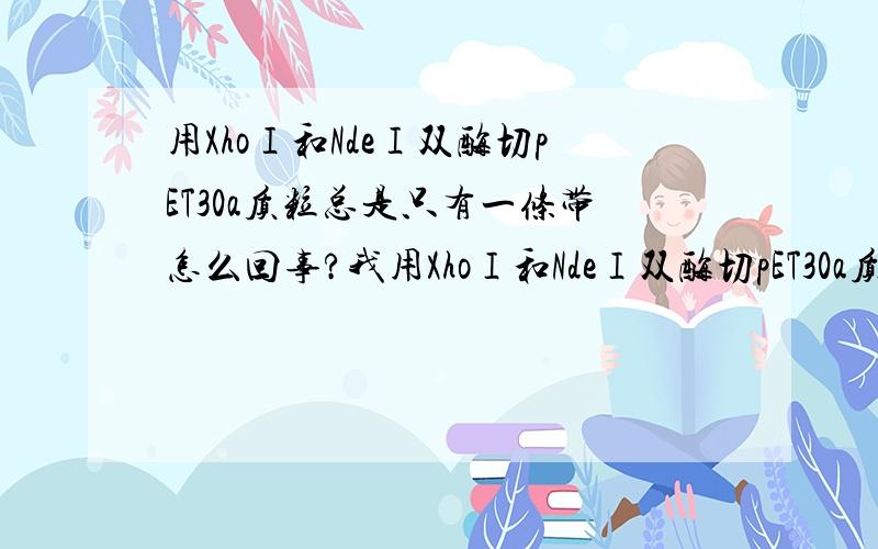 用XhoⅠ和NdeⅠ双酶切pET30a质粒总是只有一条带怎么回事?我用XhoⅠ和NdeⅠ双酶切pET30a质粒,但是酶切后电泳检测总是只有一条带,感觉没有切开,我已经重复酶切多次,而且也用来连接过,事实证明