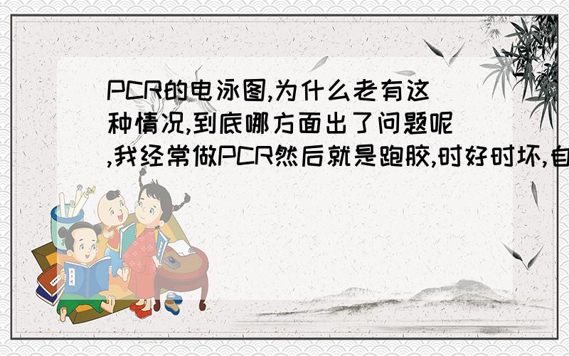 PCR的电泳图,为什么老有这种情况,到底哪方面出了问题呢,我经常做PCR然后就是跑胶,时好时坏,自认为每次的操作都是一样的,唉,