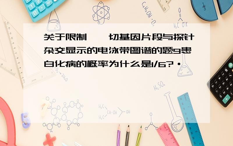 关于限制酶酶切基因片段与探针杂交显示的电泳带图谱的题9患白化病的概率为什么是1/6?·