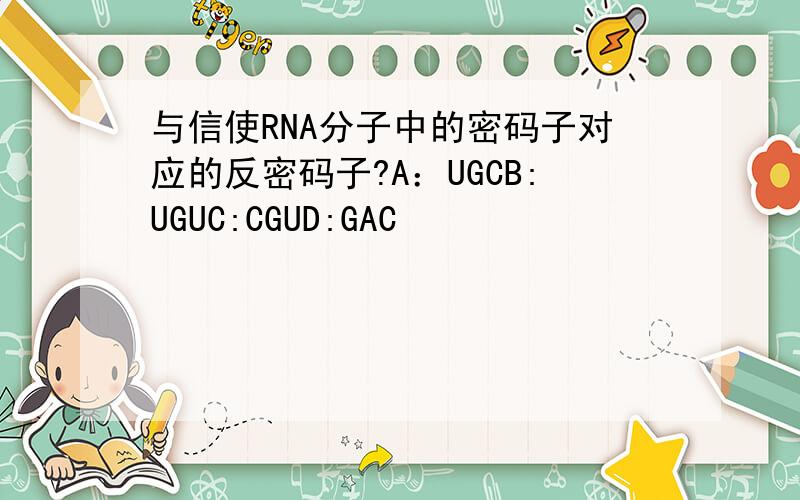 与信使RNA分子中的密码子对应的反密码子?A：UGCB:UGUC:CGUD:GAC