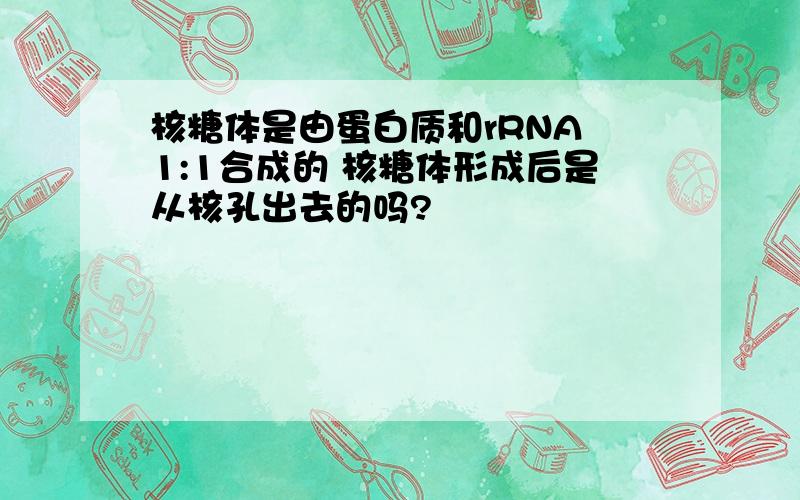 核糖体是由蛋白质和rRNA 1:1合成的 核糖体形成后是从核孔出去的吗?