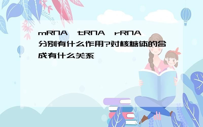 mRNA,tRNA,rRNA分别有什么作用?对核糖体的合成有什么关系