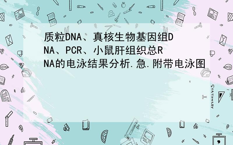 质粒DNA、真核生物基因组DNA、PCR、小鼠肝组织总RNA的电泳结果分析.急.附带电泳图