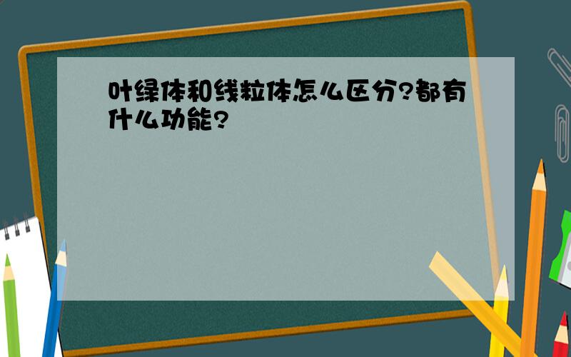 叶绿体和线粒体怎么区分?都有什么功能?