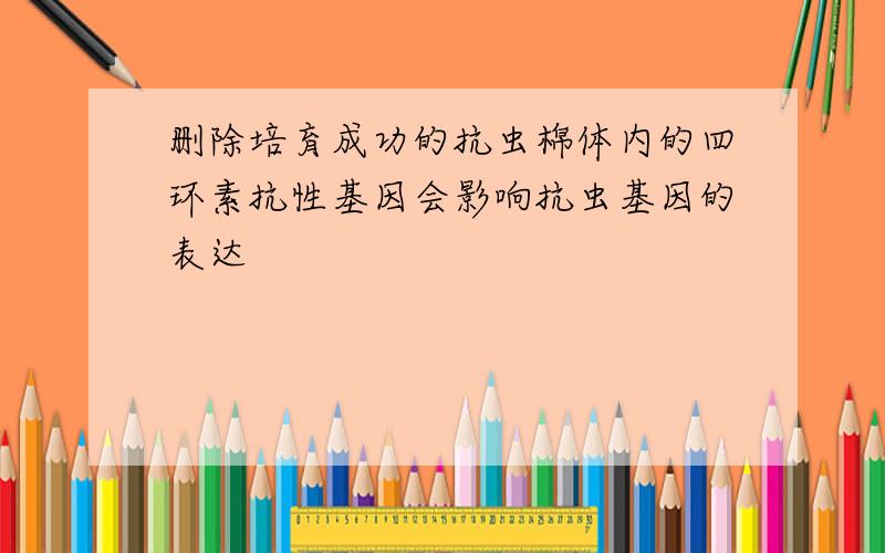 删除培育成功的抗虫棉体内的四环素抗性基因会影响抗虫基因的表达