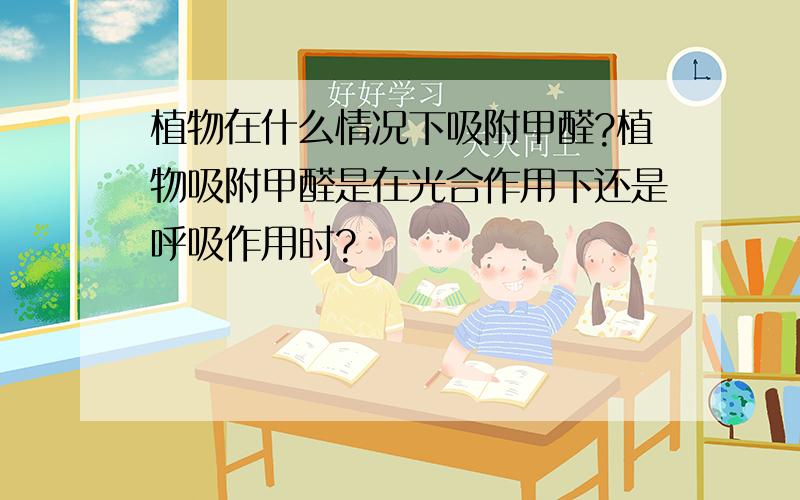 植物在什么情况下吸附甲醛?植物吸附甲醛是在光合作用下还是呼吸作用时?