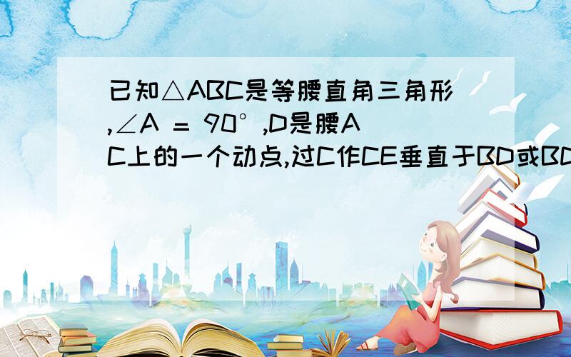 已知△ABC是等腰直角三角形,∠A = 90°,D是腰AC上的一个动点,过C作CE垂直于BD或BD的延长线,垂足为E,如图．（1）若BD是AC的中线,求 的值；（2）若BD是∠ABC的角平分线,求 的值；（3）结合（1）、