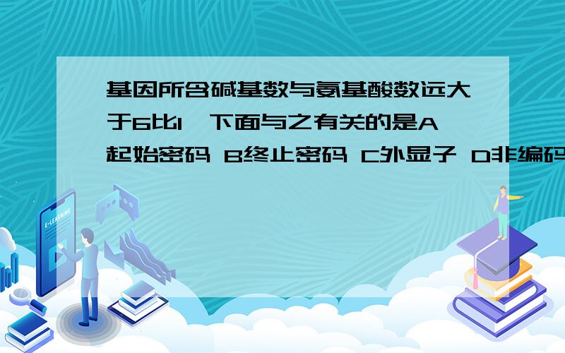 基因所含碱基数与氨基酸数远大于6比1,下面与之有关的是A起始密码 B终止密码 C外显子 D非编码区,答案是BD,为什么A错