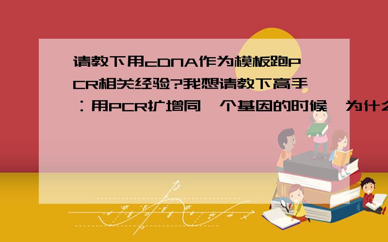 请教下用cDNA作为模板跑PCR相关经验?我想请教下高手：用PCR扩增同一个基因的时候,为什么用基因组DNA作为模板的时候很好扩出来,而且条带很亮,但用cDNA扩增同样的这个基因时确没扩出来或扩