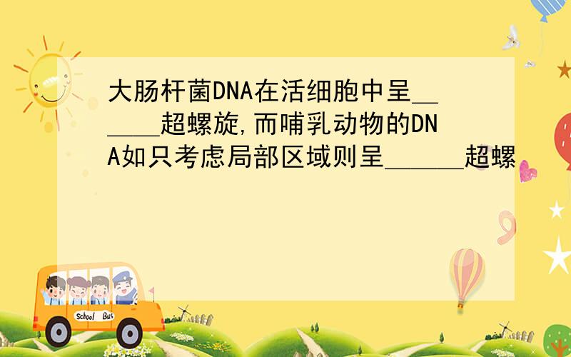 大肠杆菌DNA在活细胞中呈＿＿＿超螺旋,而哺乳动物的DNA如只考虑局部区域则呈＿＿＿超螺