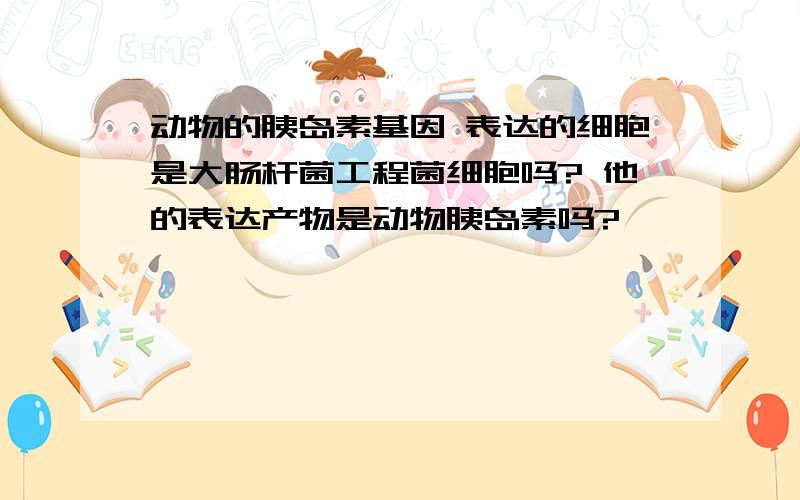 动物的胰岛素基因 表达的细胞是大肠杆菌工程菌细胞吗? 他的表达产物是动物胰岛素吗?