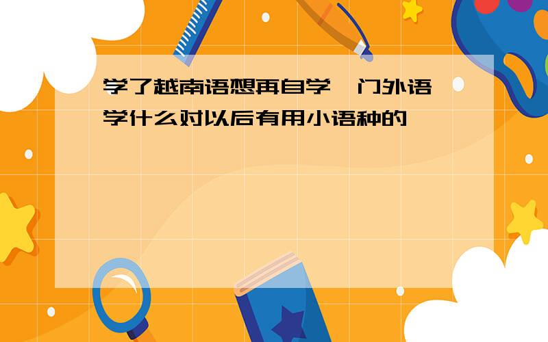 学了越南语想再自学一门外语,学什么对以后有用小语种的