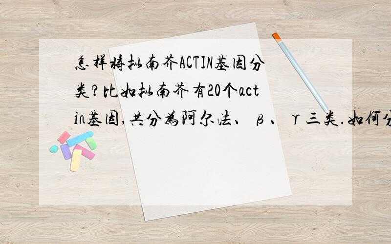 怎样将拟南芥ACTIN基因分类?比如拟南芥有20个actin基因,共分为阿尔法、β、γ三类.如何分呢?请指教,一直找不到相关的文章!很着急.