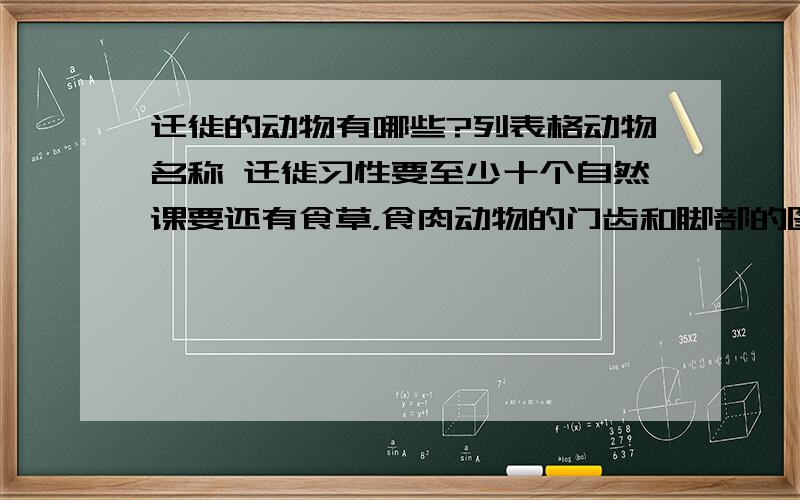 迁徙的动物有哪些?列表格动物名称 迁徙习性要至少十个自然课要还有食草，食肉动物的门齿和脚部的图