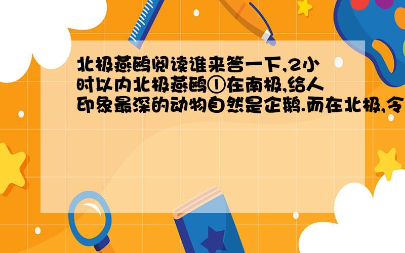 北极燕鸥阅读谁来答一下,2小时以内北极燕鸥①在南极,给人印象最深的动物自然是企鹅.而在北极,令人肃然起敬的却并非北极熊,而是北极燕鸥.企鹅虽然待人亲切,憨态可掬,但看上去却有点傻