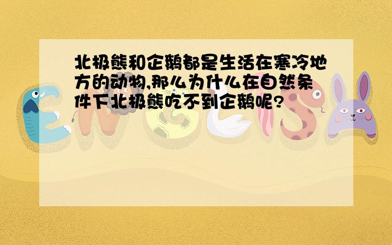 北极熊和企鹅都是生活在寒冷地方的动物,那么为什么在自然条件下北极熊吃不到企鹅呢?